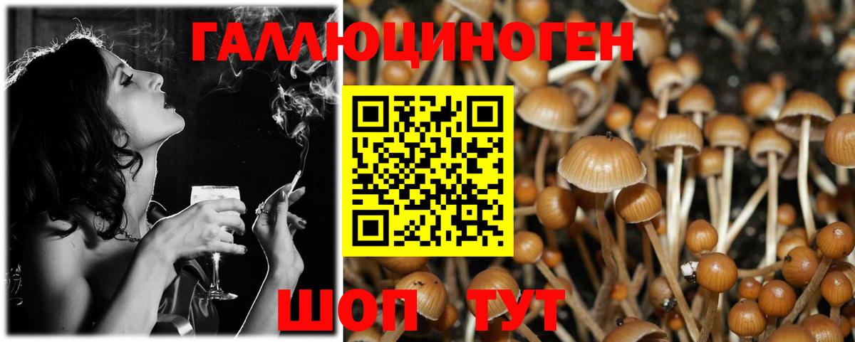 Галлюциногенные грибы GOLDEN TEACHER  Вход с VPN  Чехов 