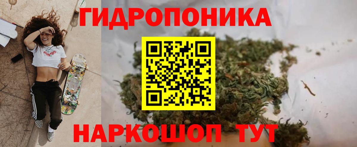 Конопля семена  Вход с VPN  МАРИХУАНА индика  Чехов  Шишки марихуана конопля 